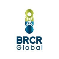 brcrglobal_logo